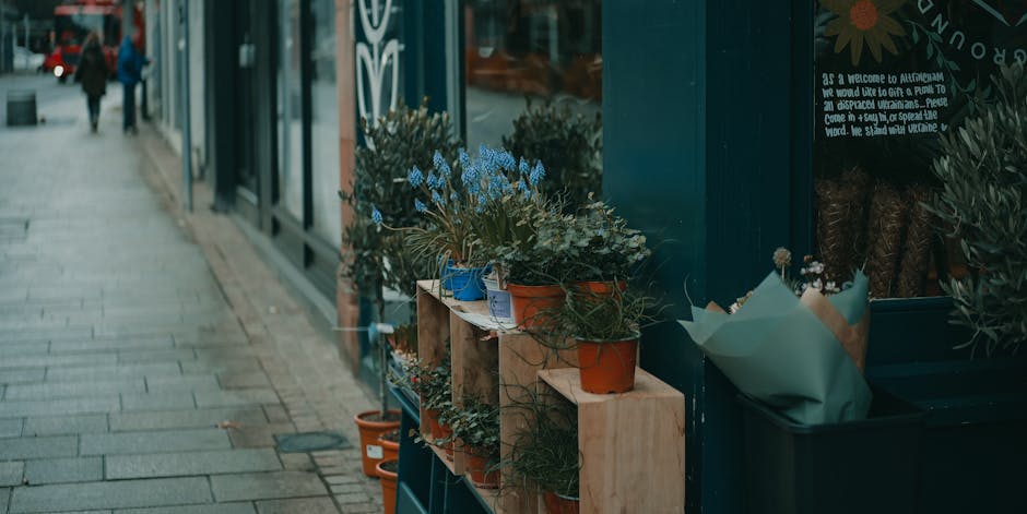 A display of potted flowering plants arranged on a wooden shelf outside a shop along Beckenham High Street. The plants include a variety of flowers with blue, white, and green foliage, wrapped in past