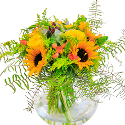 A sun-drenched celebration inspired by Beckenham's own vibrant gardens, this generous arrangement combines the bold, open faces of sunflowers with the refined beauty of spiral-stemmed yellow roses. Each sunflower's striking dark brown center offers a deep visual anchor, while layers of pale yellow and soft orange petals radiate outward in a cascade of warmth. Clusters of glossy red hypericum berries sparkle like drops of summer fruit, contrasting vividly with the green hues that surround them. The bouquet is abundant with rich greenery-feathery fern fronds and airy, fresh filler create an enveloping sense of fullness, their forms gently spilling over the round edges of the bouquet. Wisps of delicate, yellow-flowering solidago nod among slender spikes of green, enhancing the bouquet's autumnal palette, a mirror to the shifting trees along Beckenham's rail paths. Silvery-green eucalyptus threads its way through, imparting a subtly rustic tone. The arrangement is anchored in a classic, globe-shaped glass vase, its transparency allowing the intertwining, lively stems to remain visible through the water-hinting at the freshness and care for which Beckenham Florist is known. Every detail-satin-soft petal, glossy berry, the earthy aroma of cut stems-evokes a connection to nature and a sense of joyful occasion. This bouquet is perfectly suited for milestone celebrations, housewarmings on Village Way, or simply bringing sunshine indoors on a cloudy afternoon in SE20.